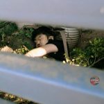 金边一韩国人坠亡，警方：跳楼自杀-德州策略-德州技巧-德州论坛